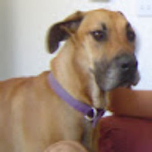 Meet your Posher, Camelia